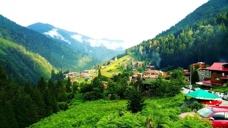 Rize Ayder Yaylası